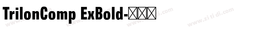 TrilonComp ExBold字体转换